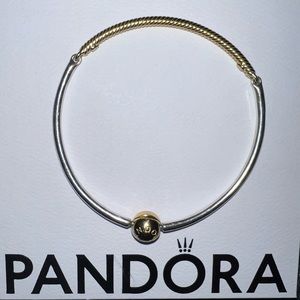 Pandora Charm bracelets